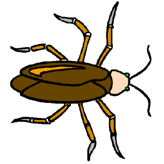 barata
